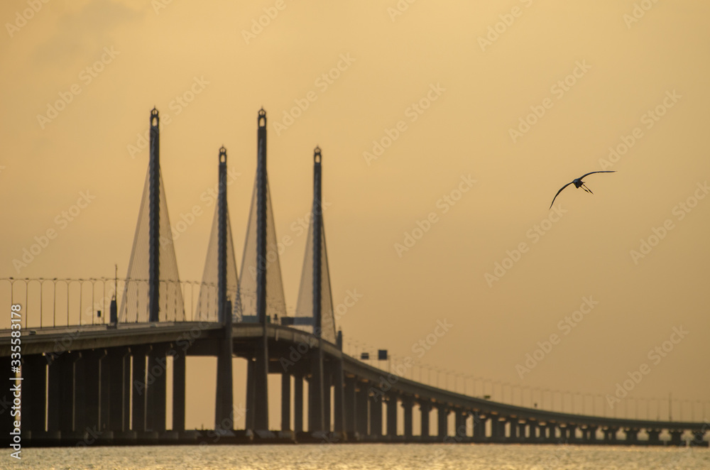 Fototapeta premium A bird fly over Penang second bridge in morning.