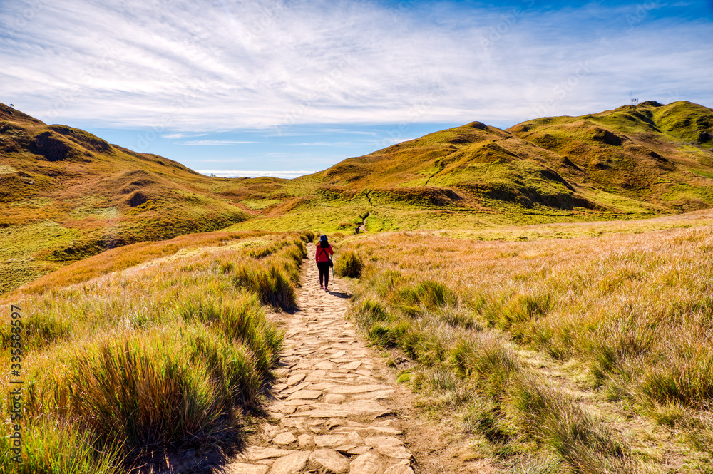 Φωτογραφία Adult female in red shirt hiking the scenic trail of Mount Pulag National Park,