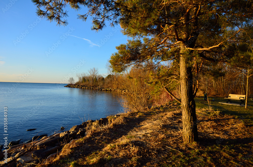 The beautiful parks in Toronto Ontario The beautiful parks in Toronto Ontario