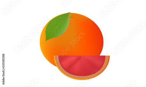 Fresh Grapefruit and cut vector and illustration