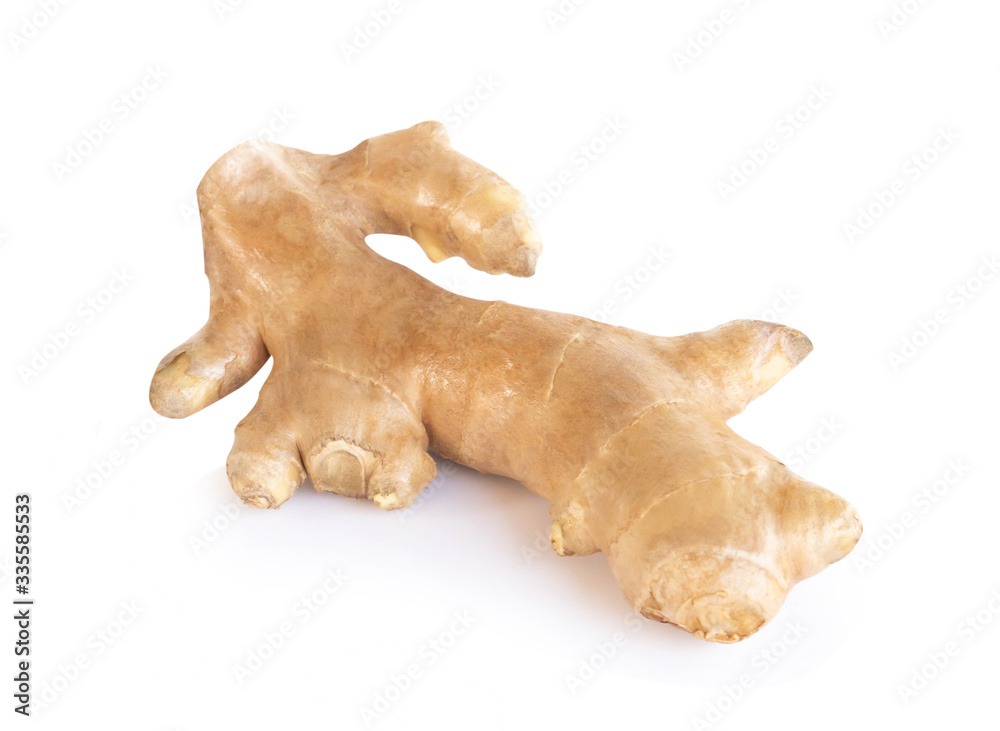 Fresh ginger root islolated on white background for herb and medical product concept Fresh ginger root islolated on white background for herb and medical product concept