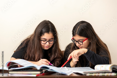 two friends are studying at home
