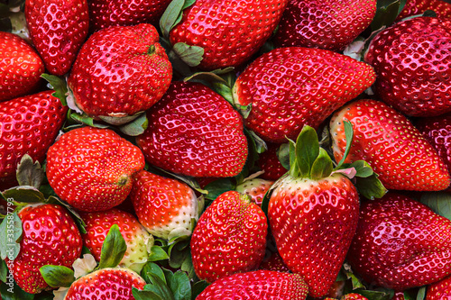 Cesta de fresas en el mercado a la venta