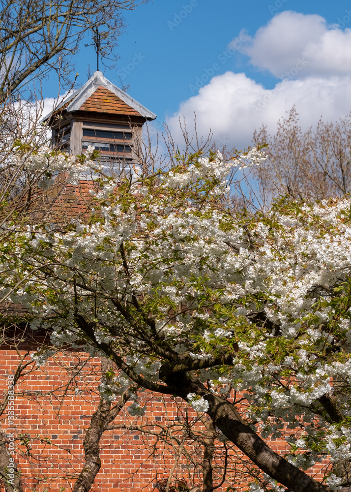 Spring blossom at Eastcote House in front of the dovecote at historic walled garden in the Borough of Hillingdon, London, UK. Spring blossom at Eastcote House in front of the dovecote at historic walled garden in the Borough of Hillingdon, London, UK.