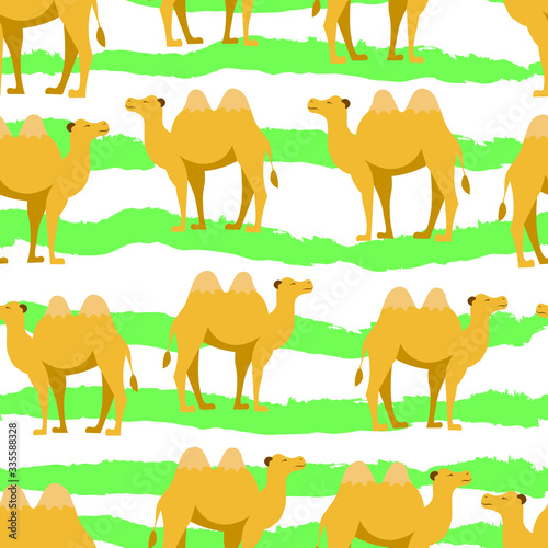 Camels  animals  fashion  travel hand drawn vector seamless pattern on white background. Concept for wallpapers  wrapping paper   cards 