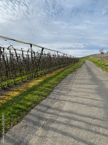 wanderweg am bodensee in immenstadt