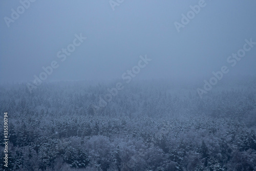 Misty winter landscape, snow-capped mountains, snow-covered forest. View from above.selective focus © Дмитрий Соколов