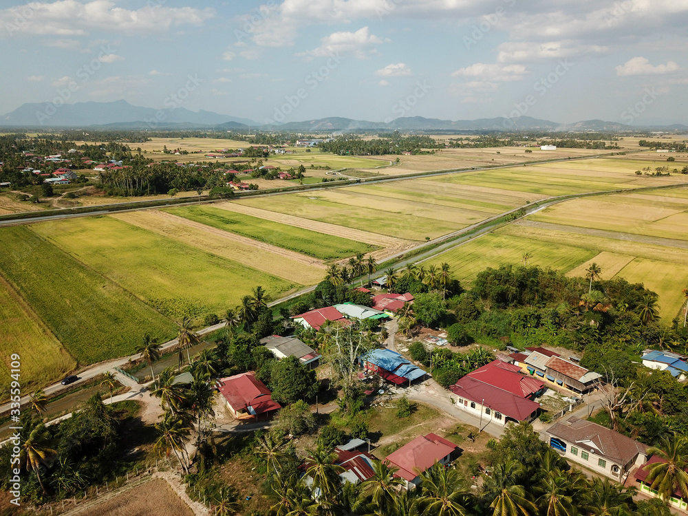 Aerial scene Malays village and harvested paddy field at Penaga.
