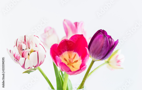 Beautiful bouquet of purple and pink tulips on white background. Close up © stsvirkun