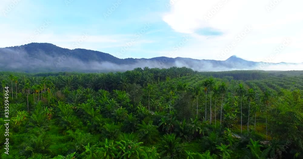 bird eye view aerial wilderness and natural bird eye view aerial wilderness and natural