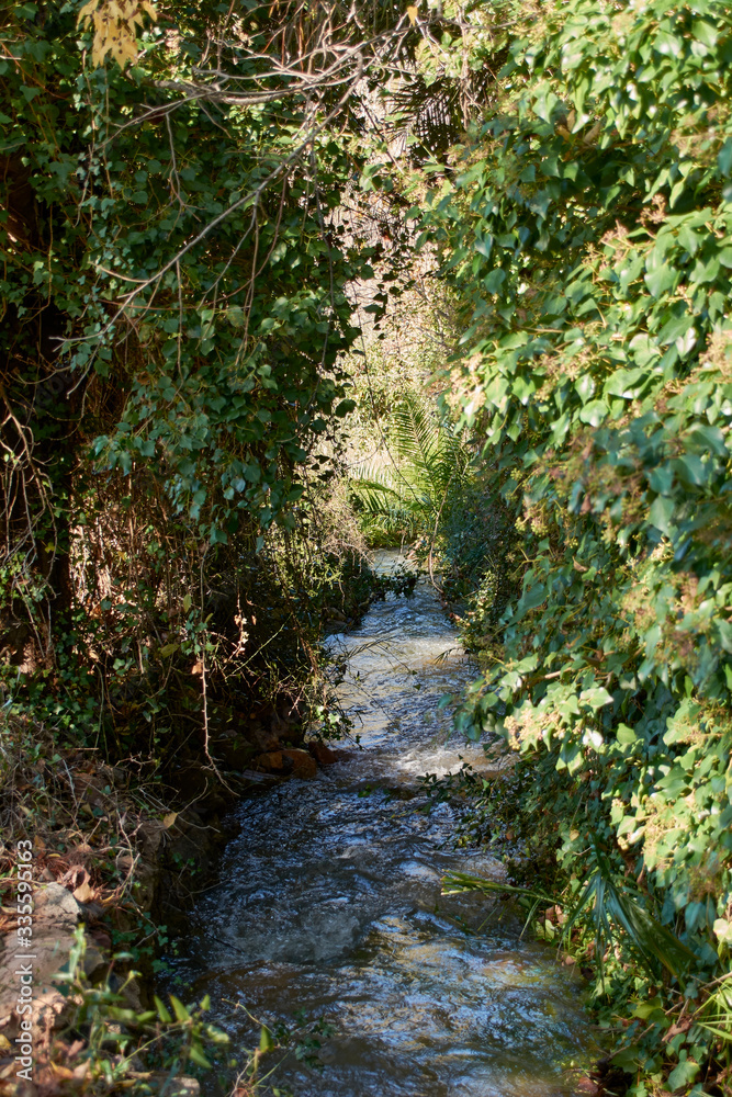 River of turbulent waters through the vegetation River of turbulent waters through the vegetation