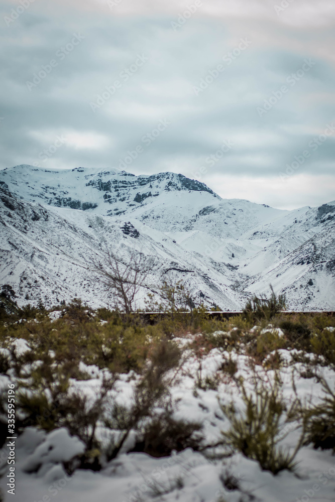 Parque nacional laguna del laja en invierno