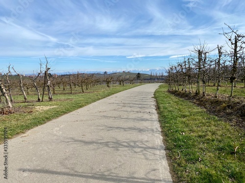 Apfel und Weinweg bei Immenstadt in deutschland