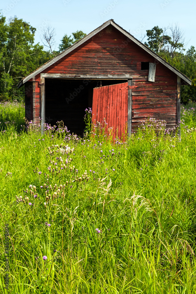Obraz premium Old Farm Buildin