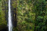 Akaka Falls State Park - Big Island, Hawaii