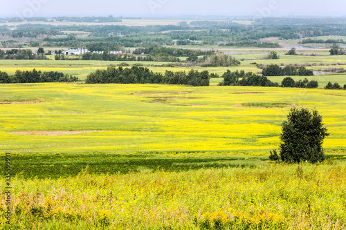 Prairie Landscape