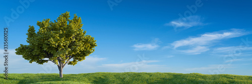 Summer landscape with tree against a blue sky with white clouds (3D Rendering)