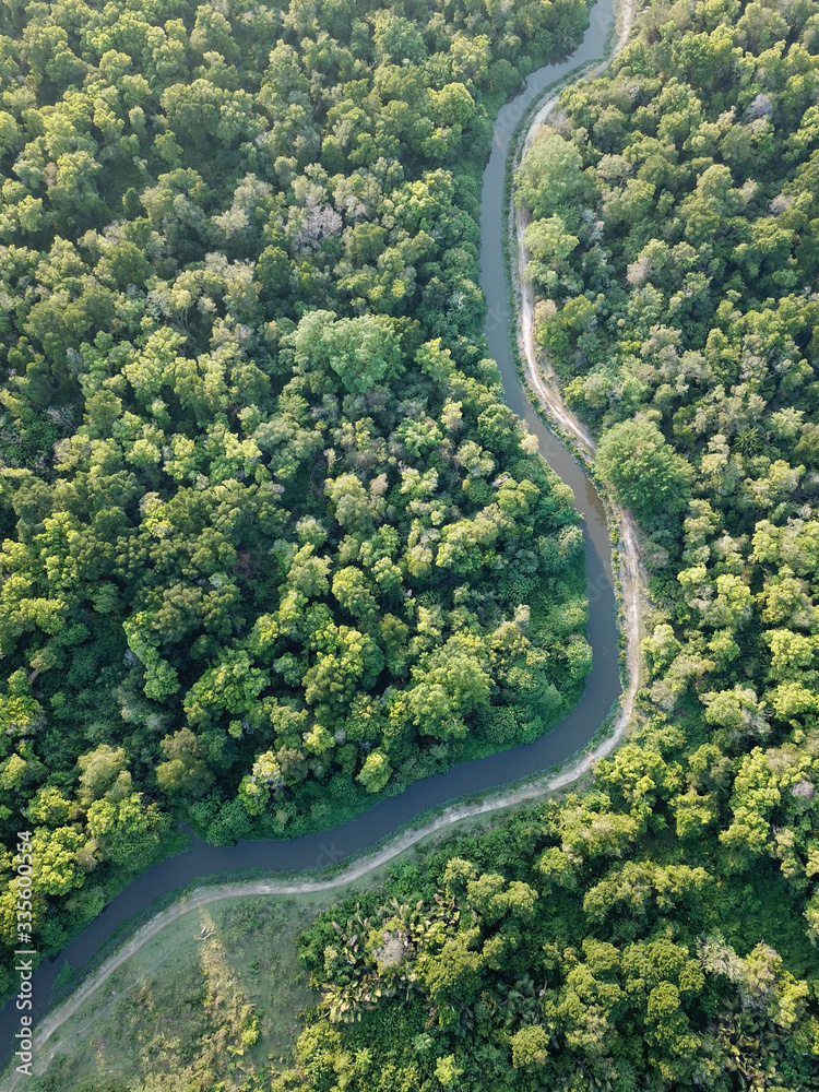 Beautiful natural forest separated by river.