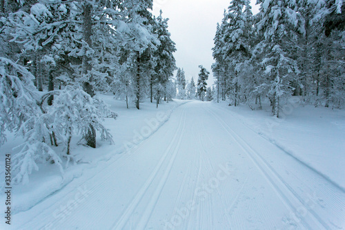 A frozen landscape in Finland
