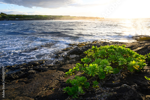 Punaluʻu Beach park - Big Island, Hawaii photo