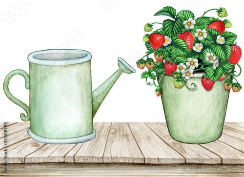 Watercolor vintage wooden table with water can and strawberry pot
