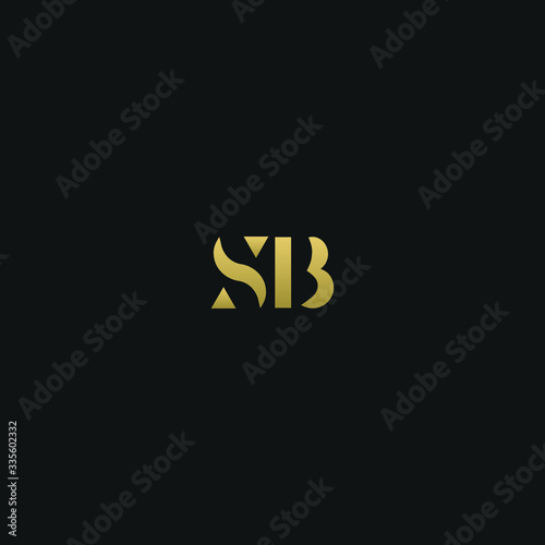 Creative modern elegant trendy unique artistic SB BS B S initial based letter icon logo