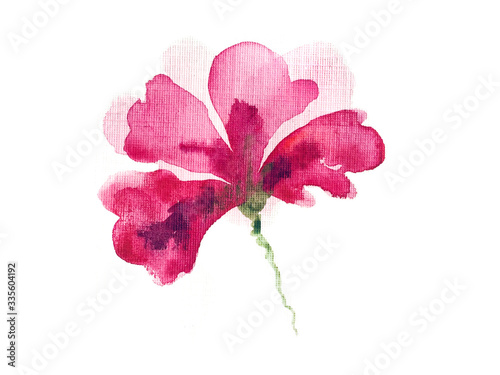 Obraz na płótnie Watercolor flower. Pink flower on the white background. w salonie