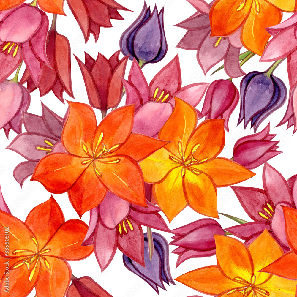 Watercolor illustration. Wild tulips. Pattern. Flower pattern.