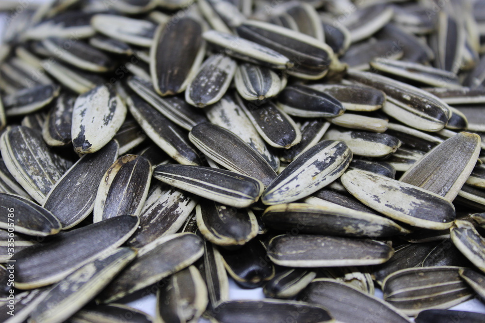 Organic sunflower seed. Sunflower crack seeds. Close up. Texture or background concept.