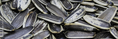 Organic sunflower seed. Sunflower crack seeds. Close up. Texture or background concept.
