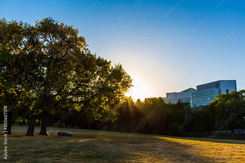Fototapeta premium Sunset in the Park