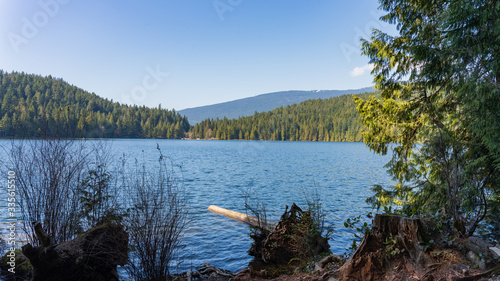 lake in BC forest on a sunny spring day 