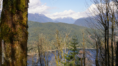Sea inlet and mountains viewed from forest hiking trail in BC, Canada 
