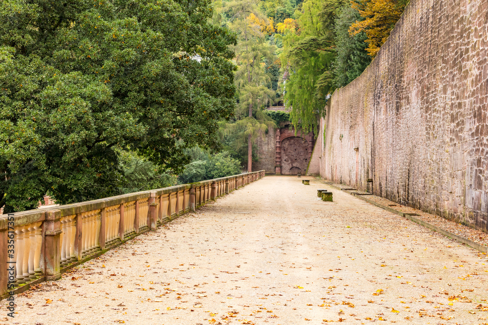 Fototapeta premium Schloss Heidelberg
