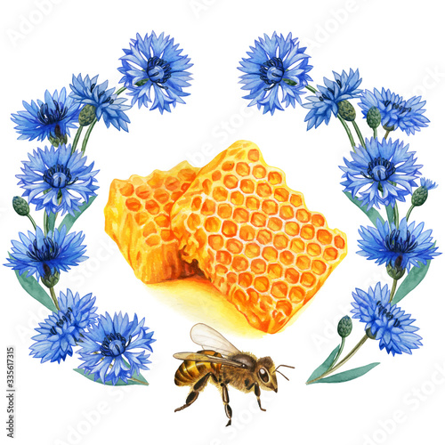 Watercolor pieces of honeycomb on bluebottle wreath