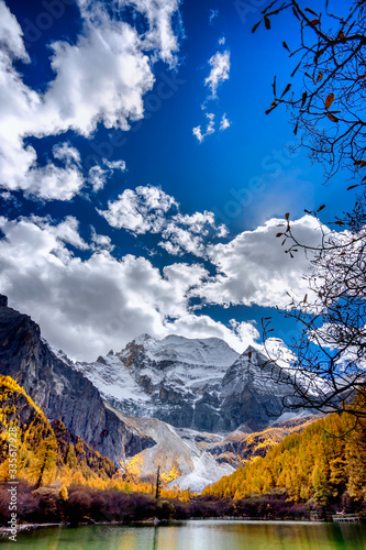 Nature landscape river in pine forest mountain valley,Snow Mountain in daocheng yading,Sichuan,China.