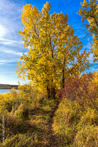 Autumn Colors by the River