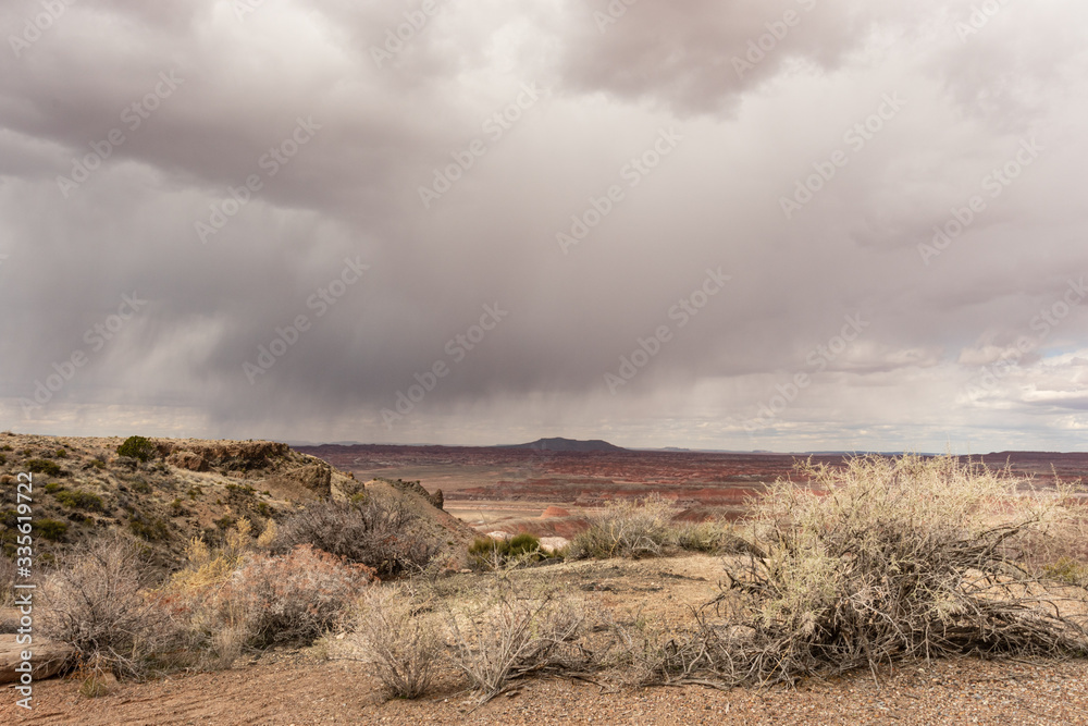 Storm cloud over the desert  