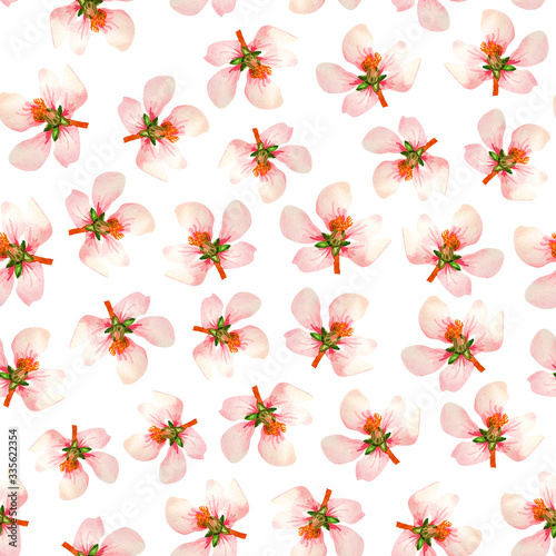 Watercolor seamless pattern with large flowers of cherry on a white background. Light delicate print with peach or cherry flowers. 