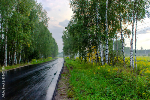 Asphalt road among the forest at sunset. Roads of Russia.
