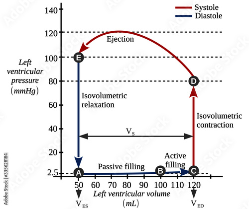 Left ventricular Pressure-volume diagram. It is a useful diagnostic graphical tool as they allow the measurement of various physiological parameters associated with the cardiac dynamics.