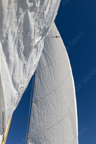 sailing on the blue sky