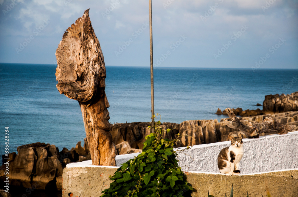 cat on wall on a cliff, in the sunlight, enjoying, basking in the sun, look at the camera