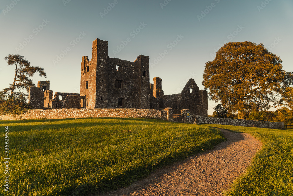 bective abbey in ireland landscape