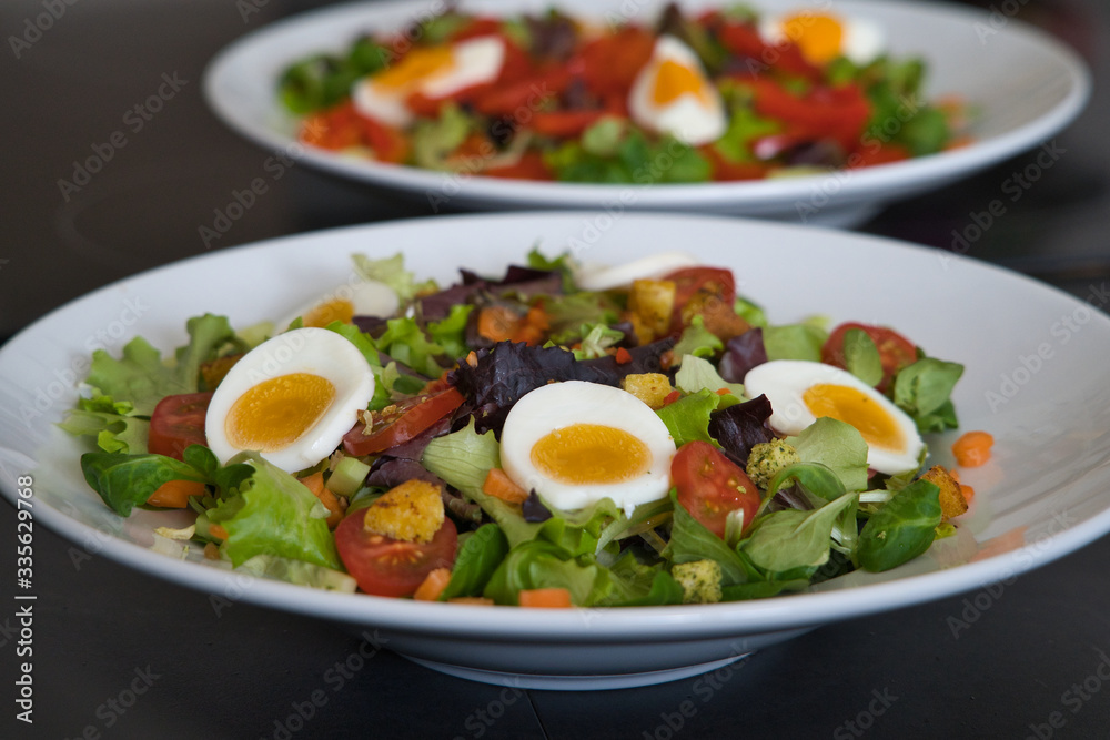 Gemischter Bio Salat Teller mit Tomaten, Eier, Schinken und Croutons, Produktbild Gemischter Bio Salat Teller mit Tomaten, Eier, Schinken und Croutons, Produktbild