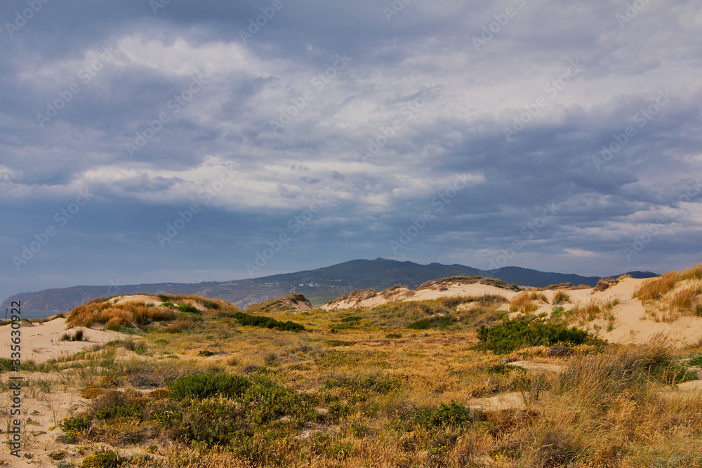 Landscape of grass in sand dunes and blue sky near the Atlantic coast. Sunny summer day. Guincho beach. Atlantic ocean. Portugal. Landscape of grass in sand dunes and blue sky near the Atlantic coast. Sunny summer day. Guincho beach. Atlantic ocean. Portugal.