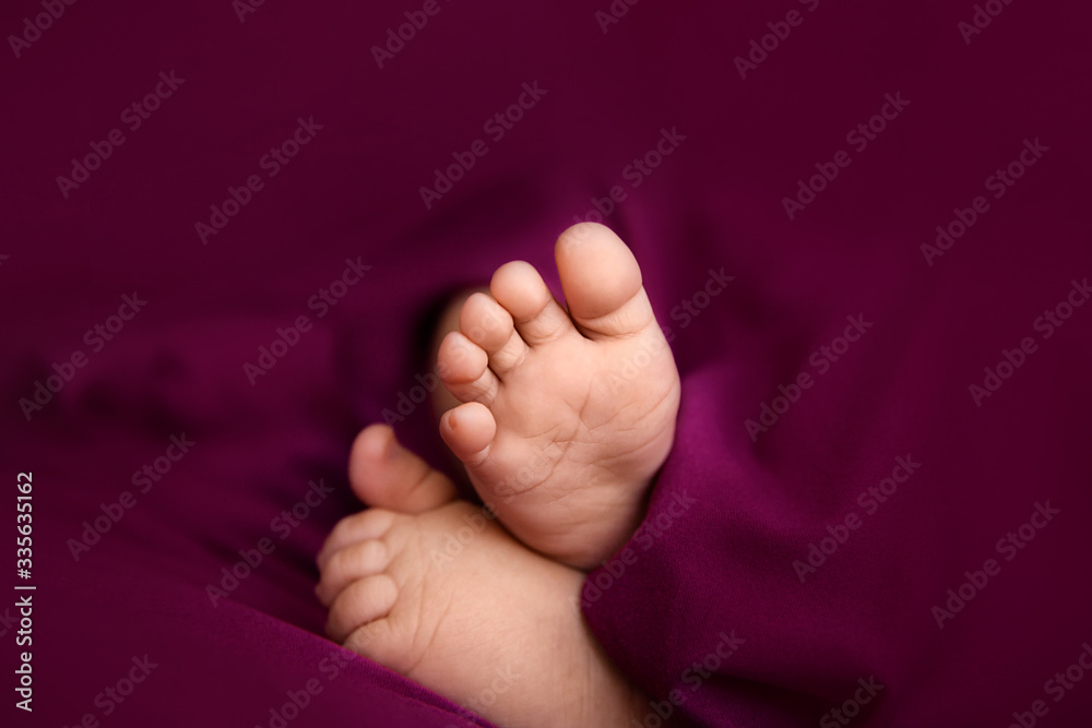 Closeup of newborn feet on raspberry background, infant barefeet Closeup of newborn feet on raspberry background, infant barefeet
