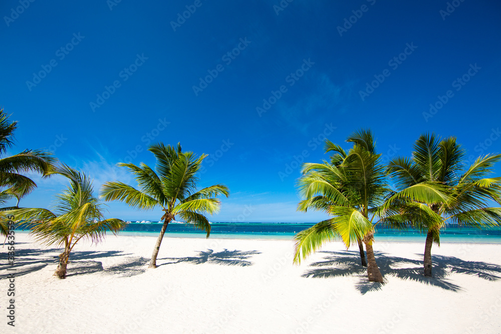 Beautiful tropical beach with white sand palm trees blue sky and turquoise water. Paradise island. Punta Cana Bavaro. Beautiful tropical beach with white sand palm trees blue sky and turquoise water. Paradise island. Punta Cana Bavaro.