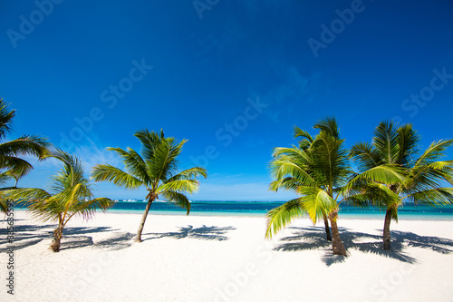 Fototapeta Naklejka Na Ścianę i Meble -  Beautiful tropical beach with white sand palm trees blue sky and turquoise water. Paradise island. Punta Cana Bavaro.