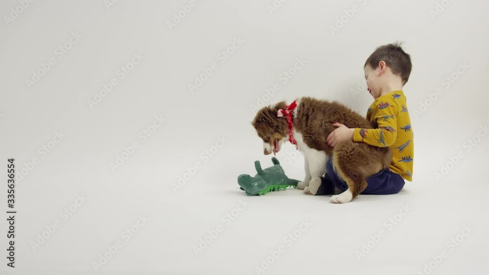 Toddler boy hugging puppy dog who licks his face against white background Toddler boy hugging puppy dog who licks his face against white background